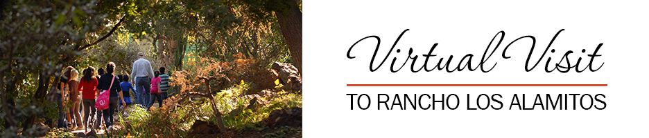 Virtual Visit to Rancho Los Alamitos